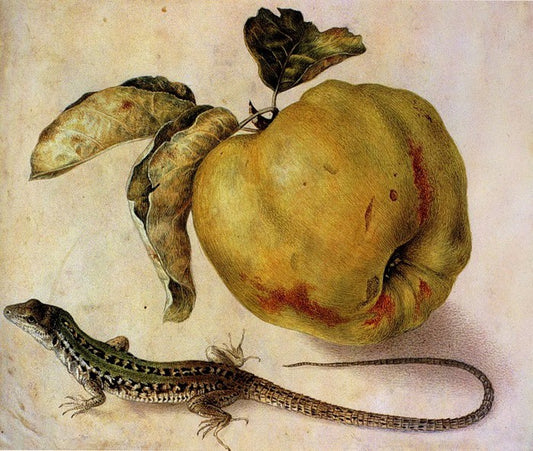 Still Life with an Apple and a Lizard, vintage artwork by Giovanna Garzoni, 12x8" (A4) Poster