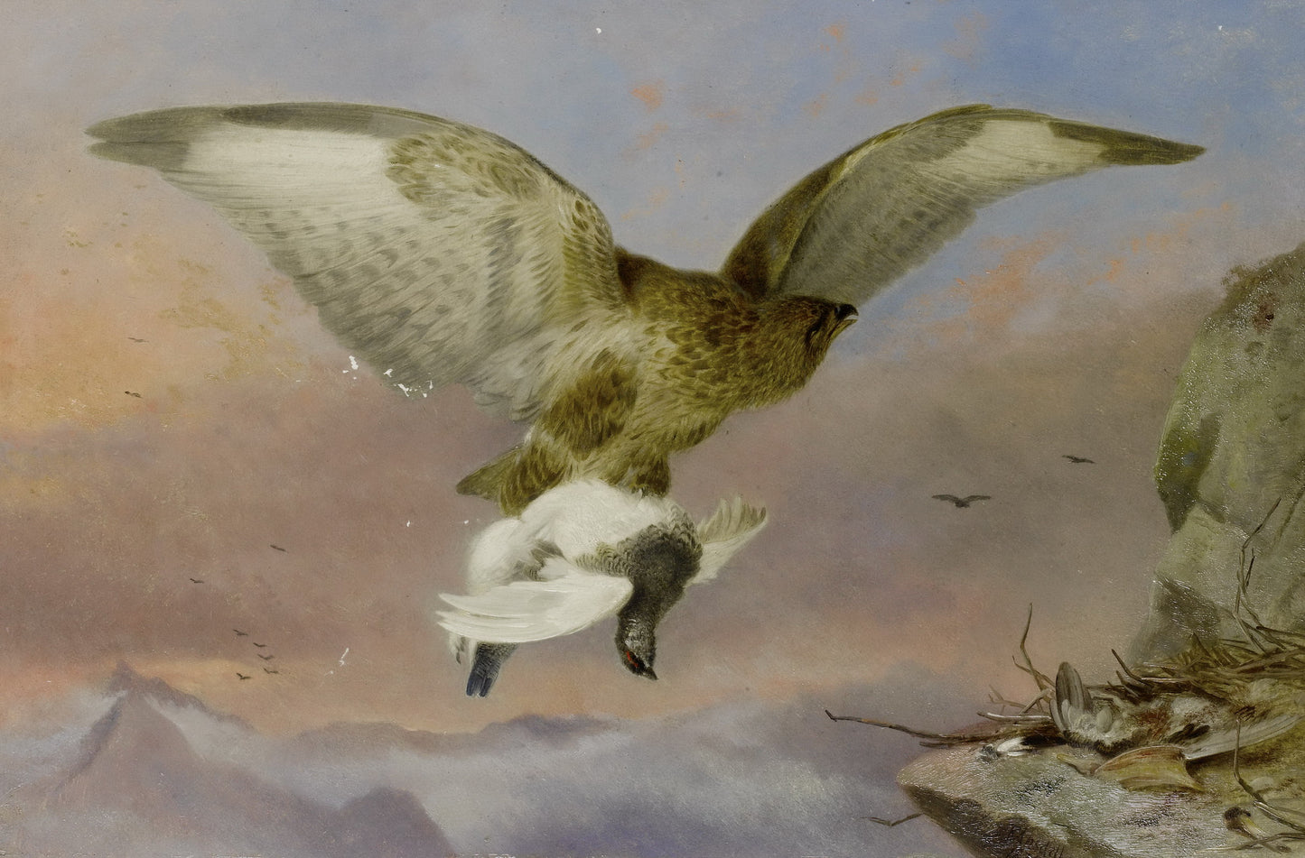 Buzzard with Ptarmigan, vintage artwork by Richard Ansdell, A3 (16x12") Poster Print