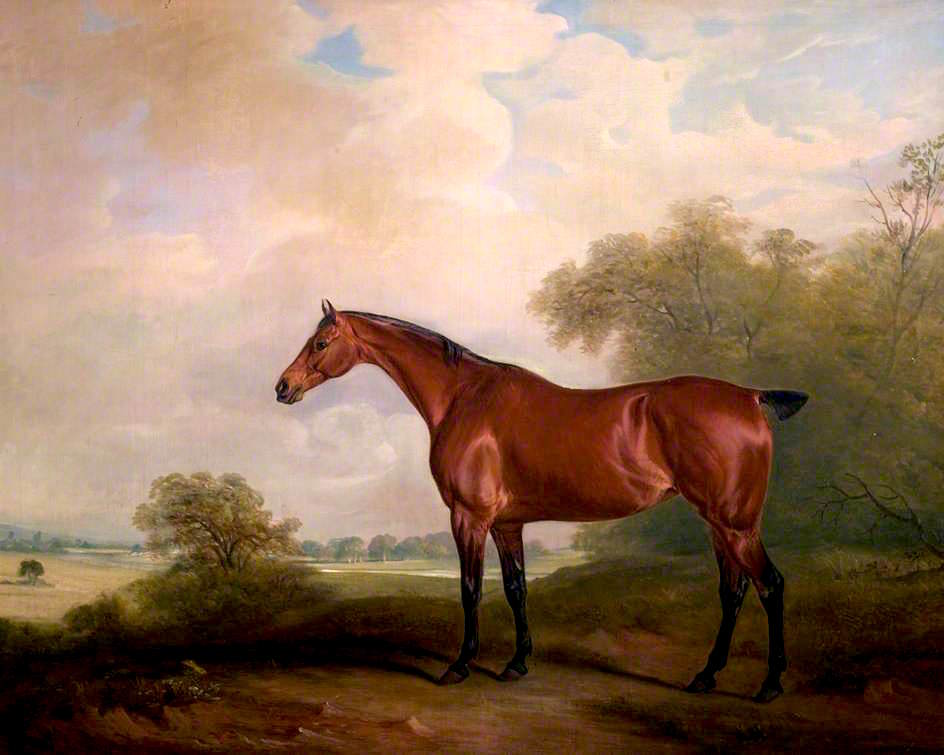 Mr Green's Bay Mare, vintage artwork by John E. Ferneley, Sr, 12x8" (A4) Poster