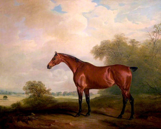 Mr Green's Bay Mare, vintage artwork by John E. Ferneley, Sr, 12x8" (A4) Poster