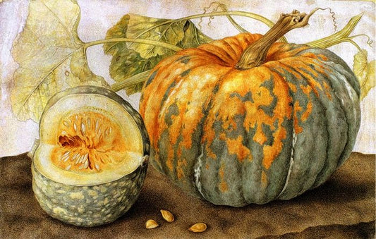 Pumpkins, vintage artwork by Giovanna Garzoni, 12x8" (A4) Poster