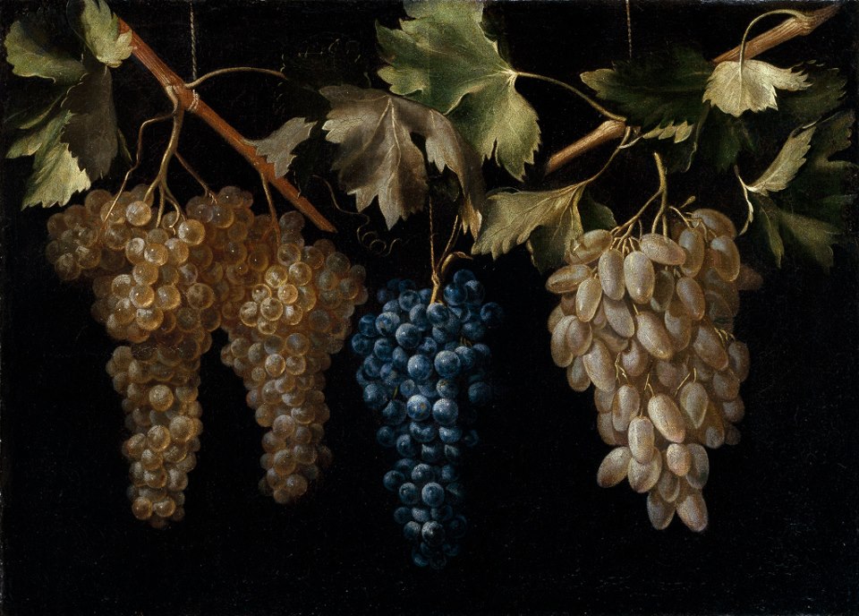 Bodegón con racimos de uvas,, vintage artwork by Juan Fernández el Labrador, 12x8" (A4) Poster