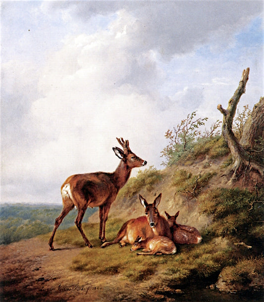 A Family of Deer, vintage artwork by Eugene Verboeckhoven, A3 (16x12") Poster Print