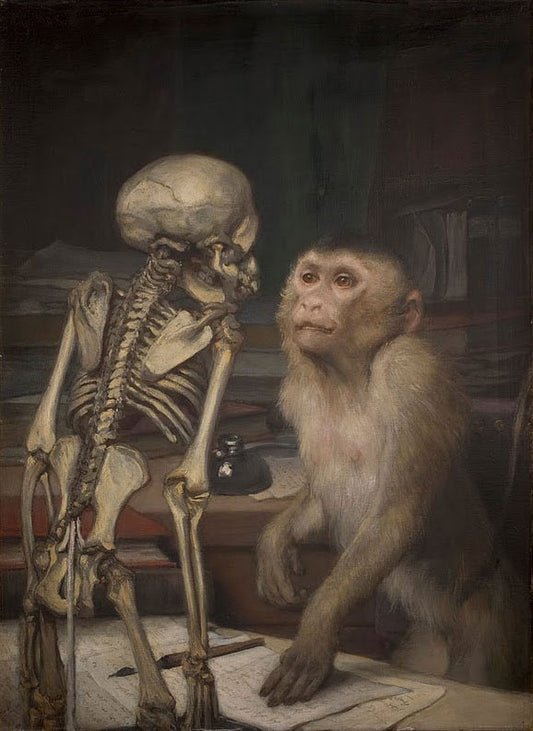 Monkey in front of a Skeleton, vintage artwork by Gabriel Cornelius Ritter von Max, 12x8" (A4) Poster
