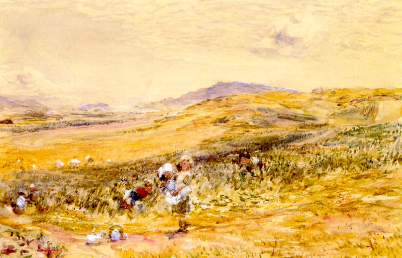 The Bean Field at Campbelltown, vintage artwork by William McTaggart, R.S.A., R.S.W., 12x8" (A4) Poster