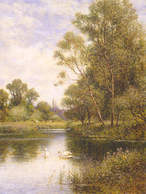 Swans on a River by Alfred Augustus Glendening, Jr.,A3(16x12")Poster