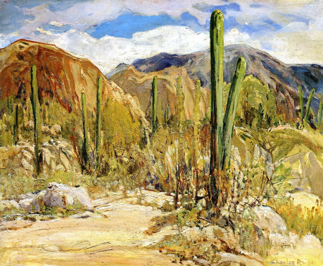Giant Cacti - Arizona by Charles Reiffel,A3(16x12")Poster