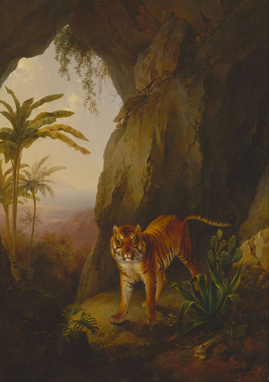 Tiger in a Cave, vintage artwork by Jacques-Laurent Agasse, 12x8" (A4) Poster