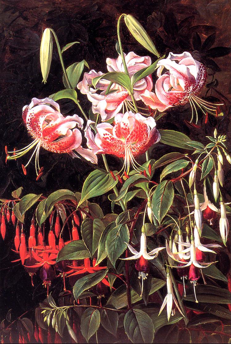 Red lilies and fuchsia, vintage artwork by Johan Laurentz (J.L.) Jensen, A3 (16x12") Poster Print