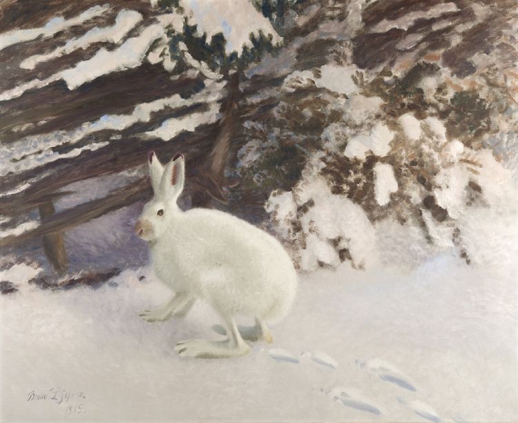 Winter Hare by  a Fence, vintage artwork by Bruno Liljefors, 12x8" (A4) Poster