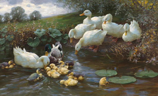 Family of ducks at the water, vintage artwork by Alexander Koester, 12x8" (A4) Poster