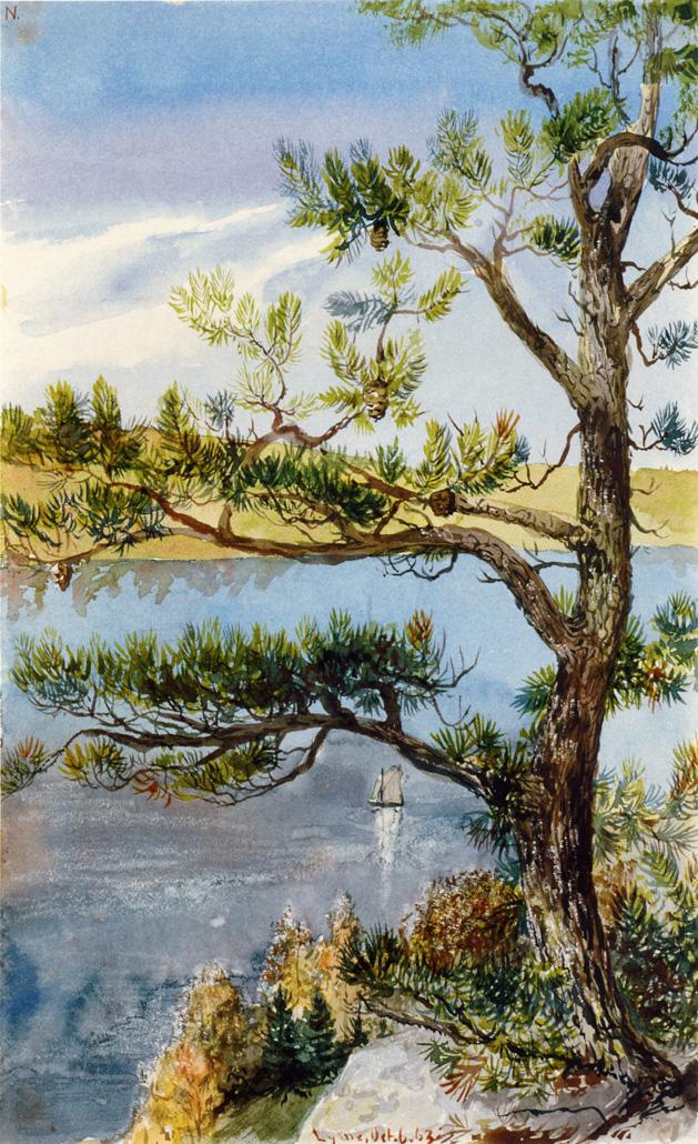 Tree and Sailboat, Lyme, Connecticut, vintage artwork by Charles De Wolf Brownell, A3 (16x12") Poster Print