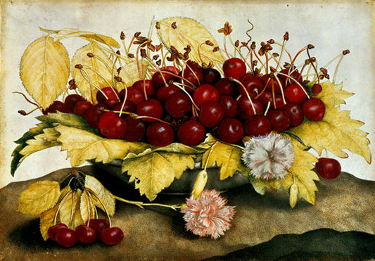 Still-life with Cherries, vintage artwork by Giovanna Garzoni, 12x8" (A4) Poster