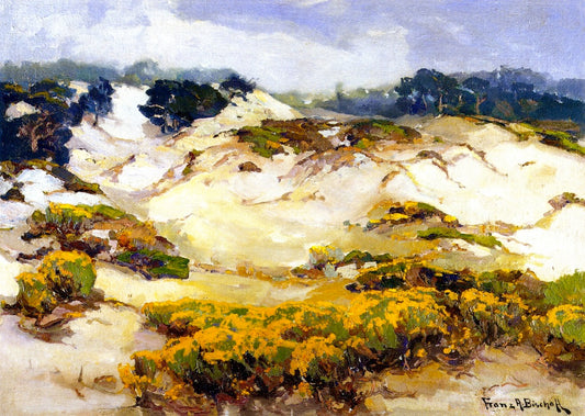 Dunes Pallid by  Mist, Monterey Coast, vintage artwork by Franz Bischoff, 12x8" (A4) Poster