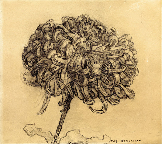 Chyrsanthemum, vintage artwork by Piet Mondriaan, 12x8" (A4) Poster