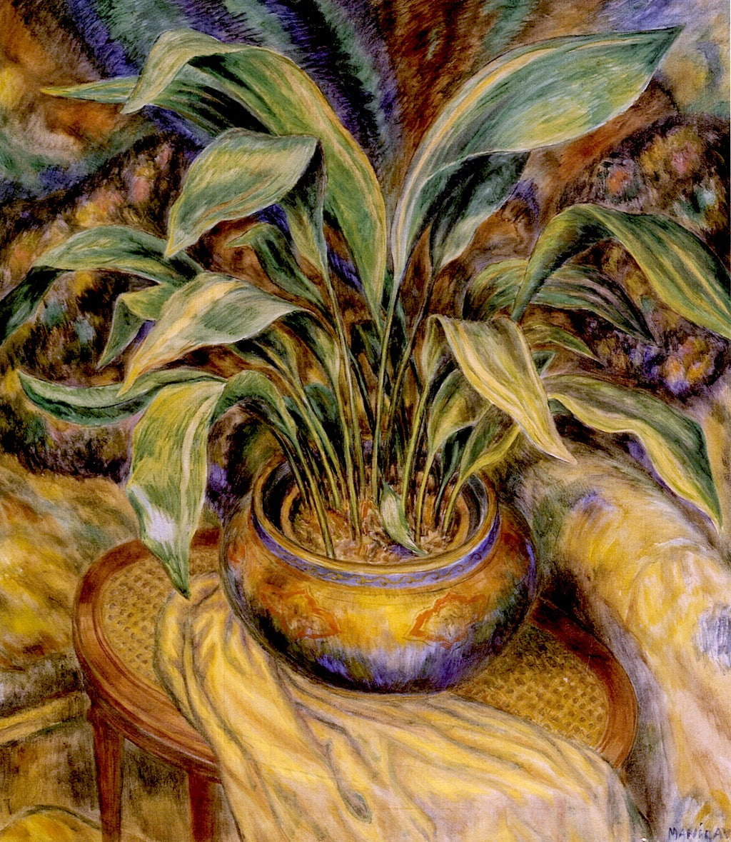 Aspidistera, vintage artwork by Middleton Manigault, 12x8" (A4) Poster