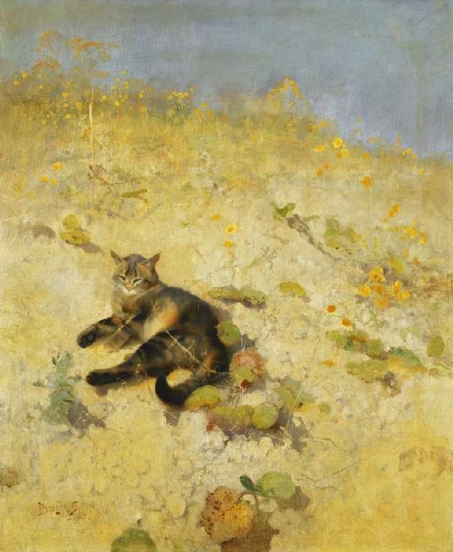 Cat in the Sunlight by Bruno Liljefors,A3(16x12")Poster
