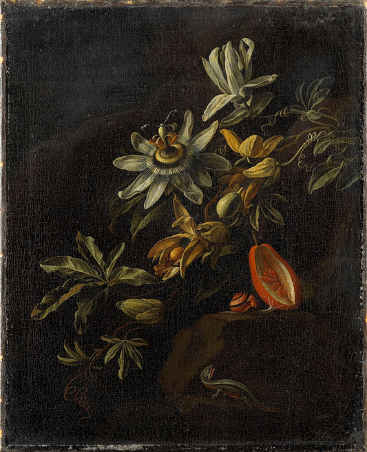 Still Life with Passion Flowers, vintage artwork by Elias van den Broeck, 12x8" (A4) Poster