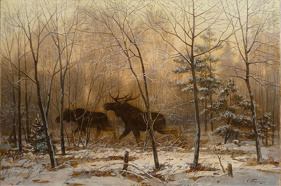 Elk in a Winter Forest by Yevgeny Tikhmenev,A3(16x12")Poster
