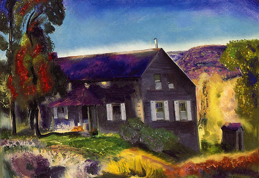 Black House by George Wesley Bellows,16x12(A3) Poster