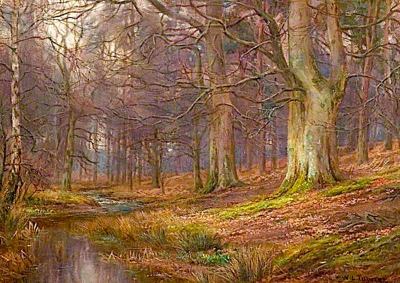 Evening in the Wood, vintage artwork by William Lakin Turner, 12x8" (A4) Poster
