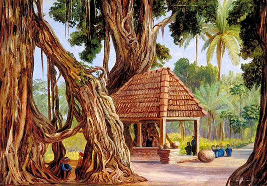 Banyan Tree at Passu Gulag near Diocio, Java, vintage artwork by Marianne North, 12x8" (A4) Poster