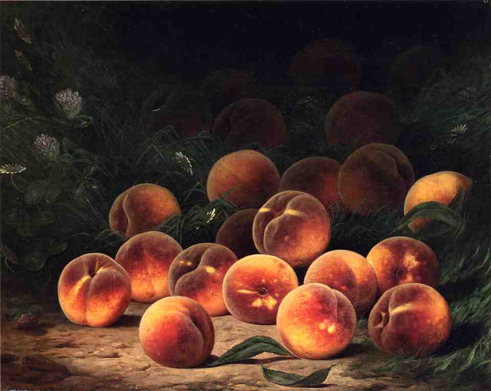 Bounty of Peaches, vintage artwork by William Mason Brown, 12x8" (A4) Poster