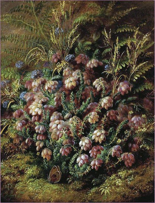 Butterfly in the Heather, vintage artwork by Albert Durer Lucas, 12x8" (A4) Poster