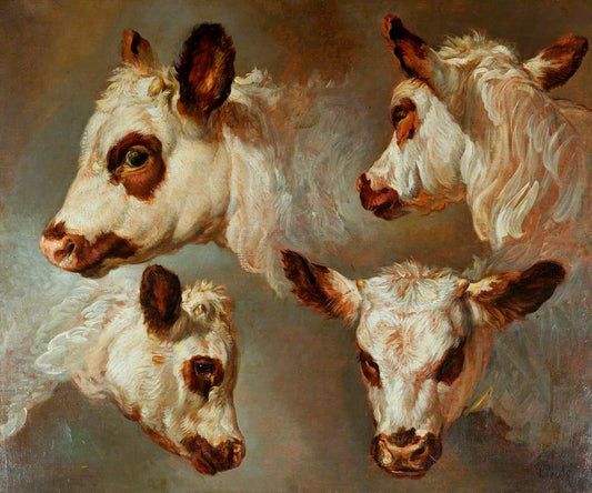 Four Studies of Heads of Cattle, vintage artwork by George Morland, 12x8" (A4) Poster