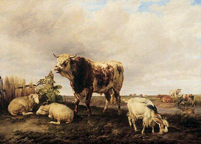 Cattle in the Meadows, vintage artwork by Thomas Sidney Cooper, A3 (16x12
