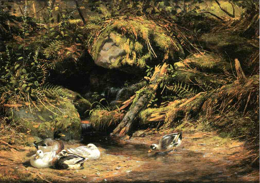 Ducks at the Spring Head, vintage artwork by Arthur Fitzwilliam Tait, A3 (16x12") Poster Print