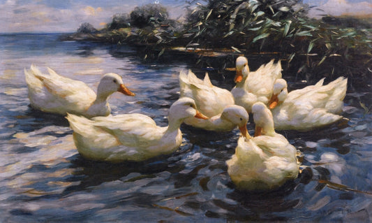 Six Ducks by Alexander Koester,A3(16x12")Poster