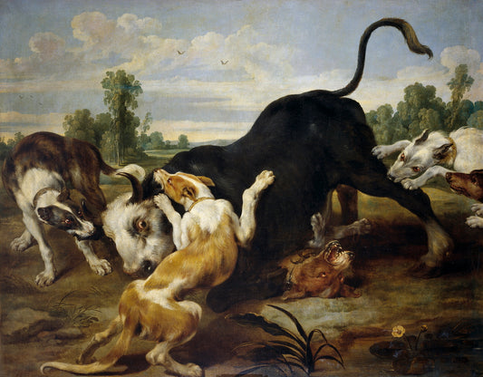 Bull and Dogs, vintage artwork by Paul de Vos, 12x8" (A4) Poster