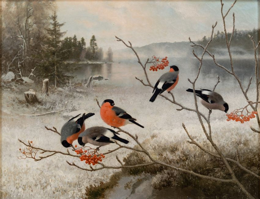 Bullfinches in Winter Landscape, vintage artwork by Ferdinand von Wright, 12x8" (A4) Poster
