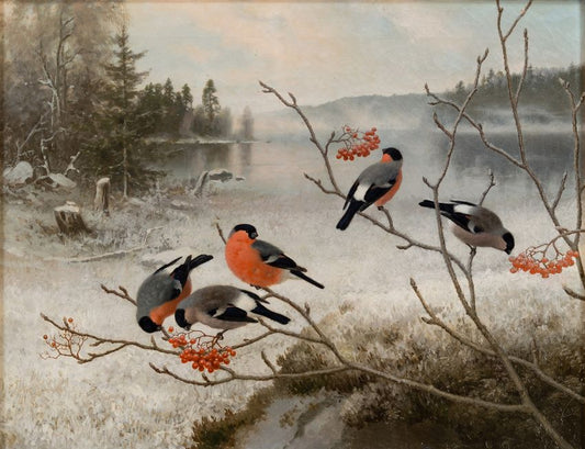 Bullfinches in Winter Landscape, vintage artwork by Ferdinand von Wright, 12x8" (A4) Poster