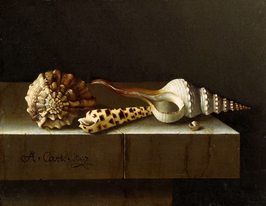 Still Life with Four Shells, vintage artwork by Adriaen Coorte, 12x8" (A4) Poster