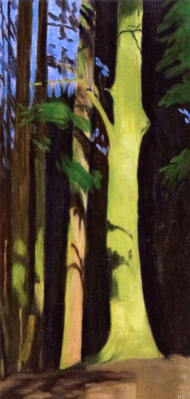 Edge of the Forest by Hans Emmenegger,A3(16x12")Poster
