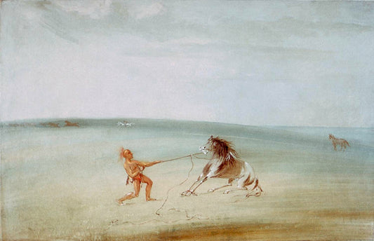 Breaking Down the Wild Horse, vintage artwork by George Catlin, A3 (16x12") Poster Print