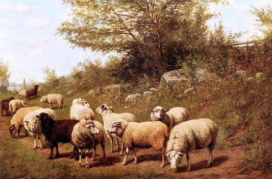 Sheep in a Pasture, vintage artwork by Arthur Fitzwilliam Tait, A3 (16x12") Poster Print