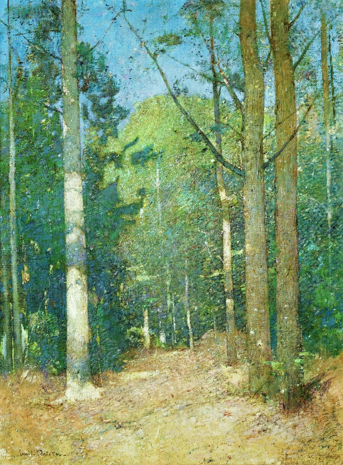 Afternoon Sunlight by Emil (Soren Emil) Carlsen,A3(16x12")Poster