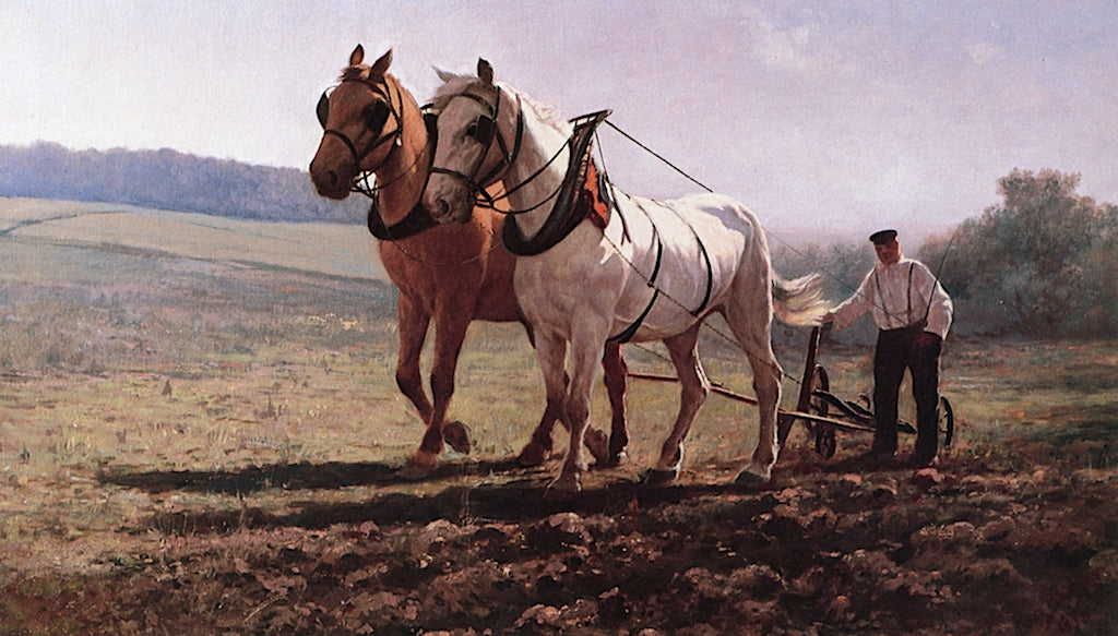 Plowing the Field, vintage artwork by Rosa Bonheur, 12x8" (A4) Poster
