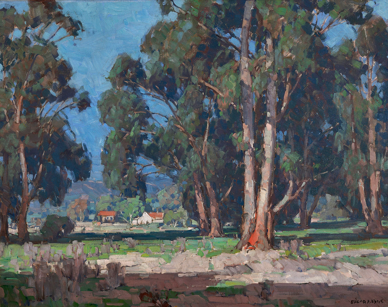 Eucalyptus Landscape, California, vintage artwork by Edgar Alwyn Payne, 12x8" (A4) Poster