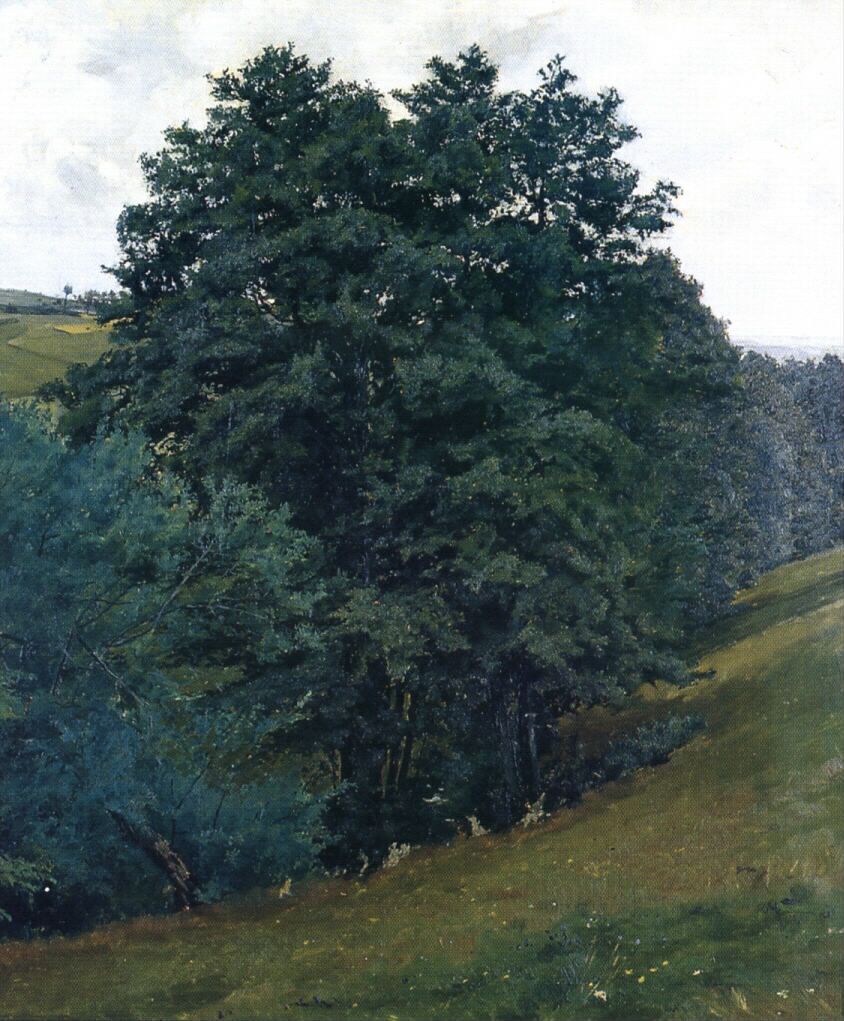 Above the brook near Lhota Víckovska by Frantis¡ek Kavan,A3(16x12")Poster