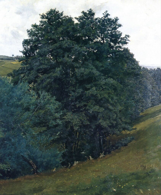 Above the brook near Lhota Víckovska by Frantis¡ek Kavan,A3(16x12")Poster