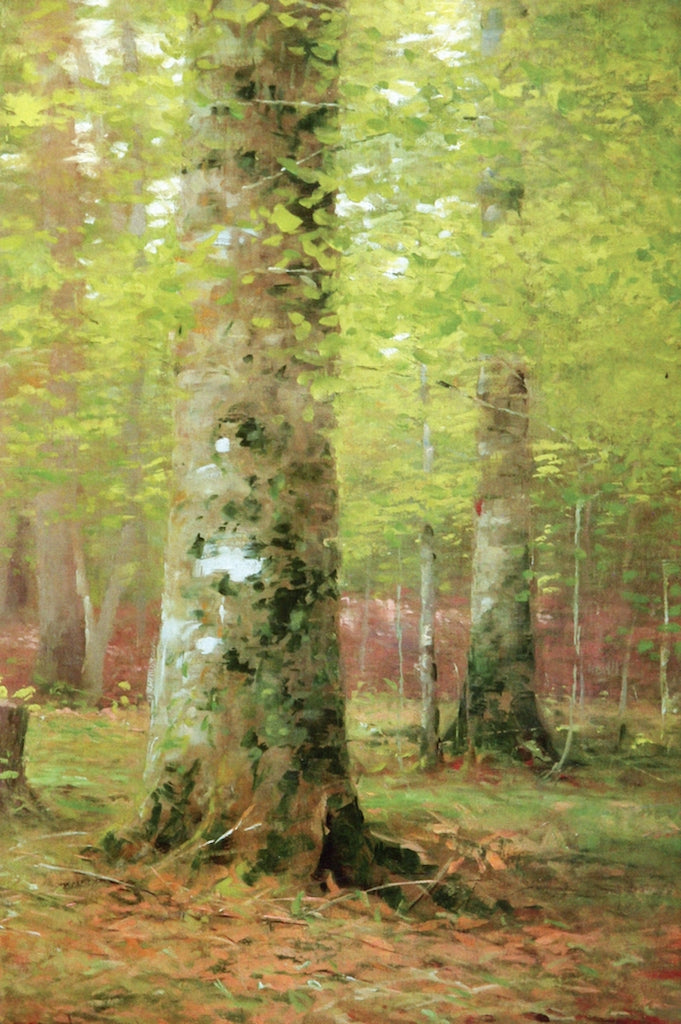 In the Woods, vintage artwork by DuBois Fenelon (D.F.) Hasbrouck, 12x8" (A4) Poster