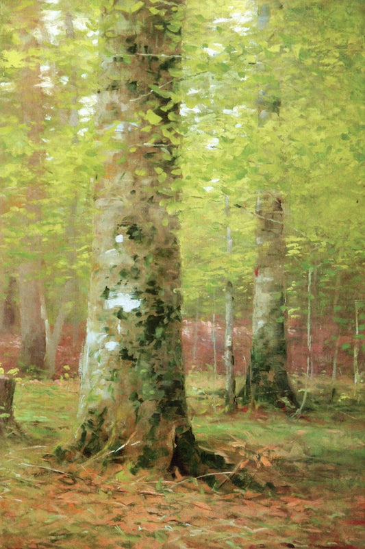 In the Woods, vintage artwork by DuBois Fenelon (D.F.) Hasbrouck, 12x8" (A4) Poster
