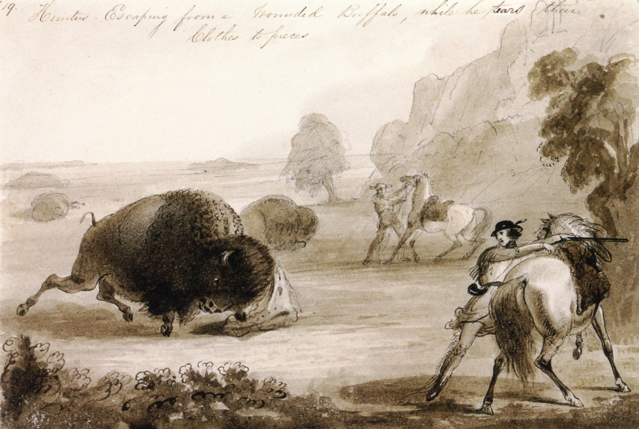 Hunters Escaping from a Wounded Buffalo, While He Tears Their Clothes to Pieces, vintage artwork by Alfred Jacob Miller, A3 (16x12") Poster Print