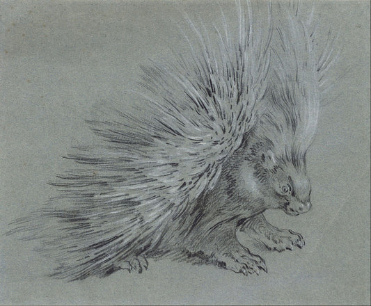 Porcupine, vintage artwork by Jean-Baptiste Oudry, 12x8" (A4) Poster