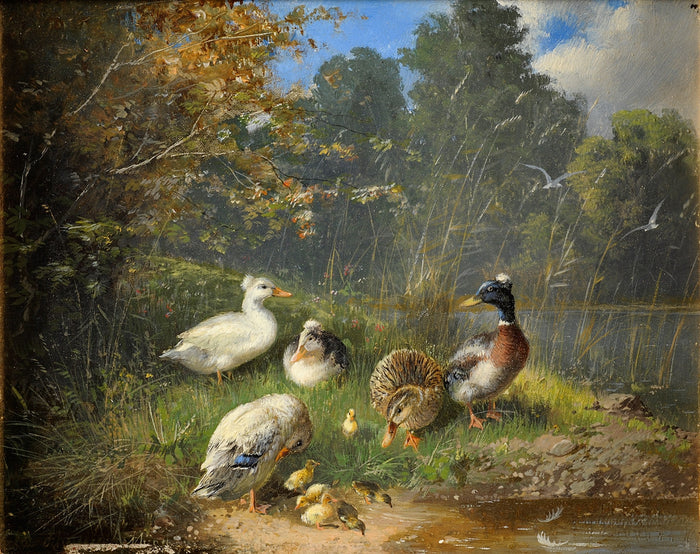 Family of ducks on the river bank by Julius Scheuerer,A3(16x12