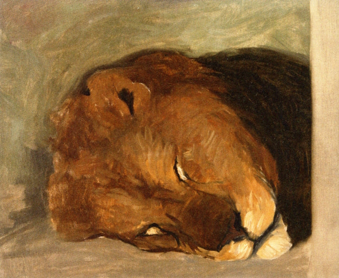 Sleeping Lion by Hans Emmenegger,A3(16x12")Poster